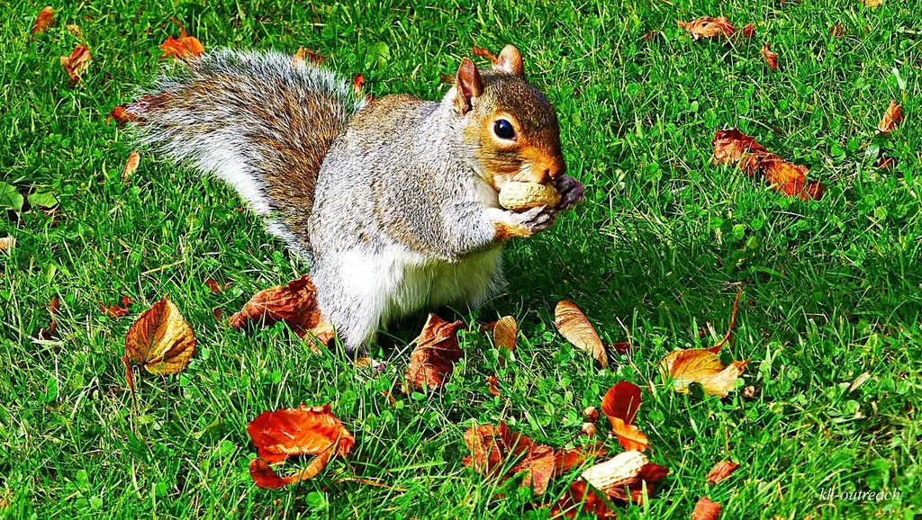 stress and emotional eating