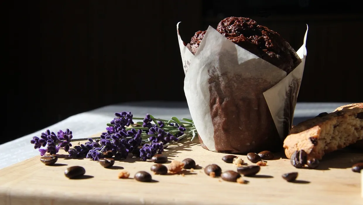 vegan chocolate muffins